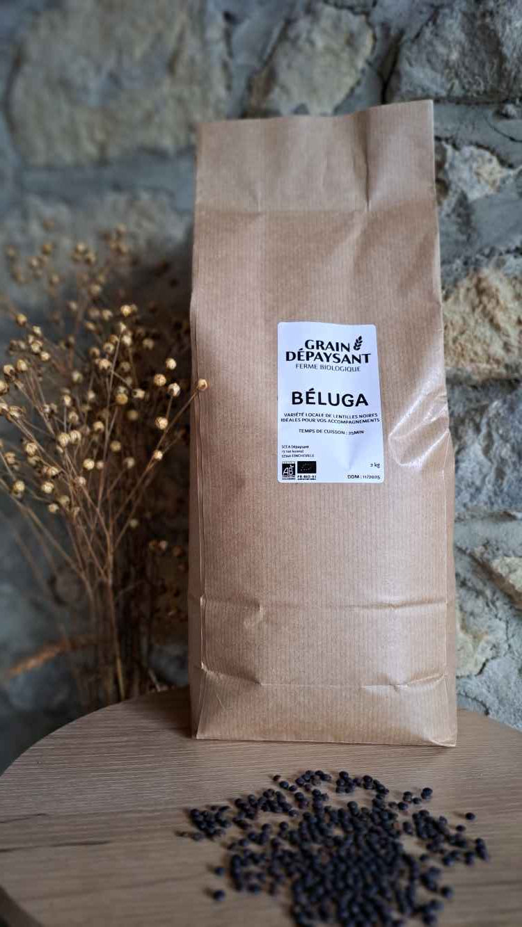 Lentilles Béluga Bio 2 Kg