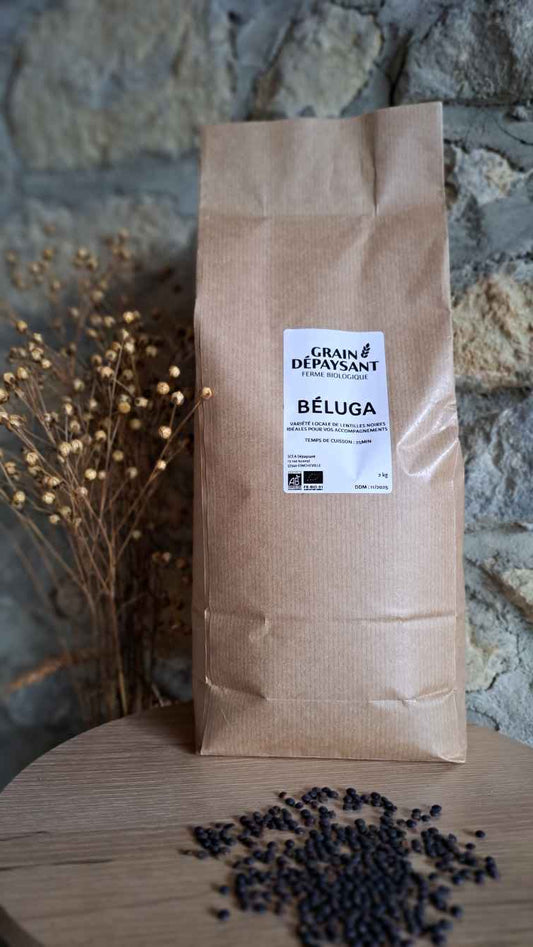 Lentilles Béluga Bio 2 Kg