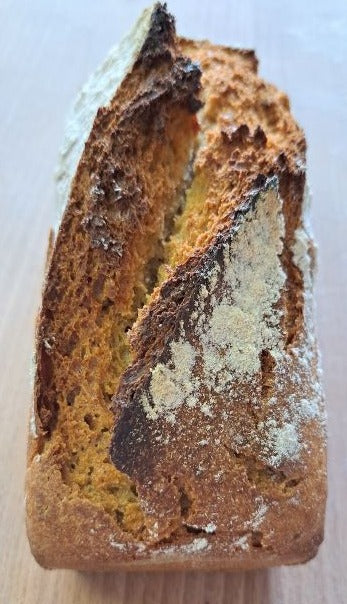 Petit Épeautre - Engrain Bio 500 Gr
