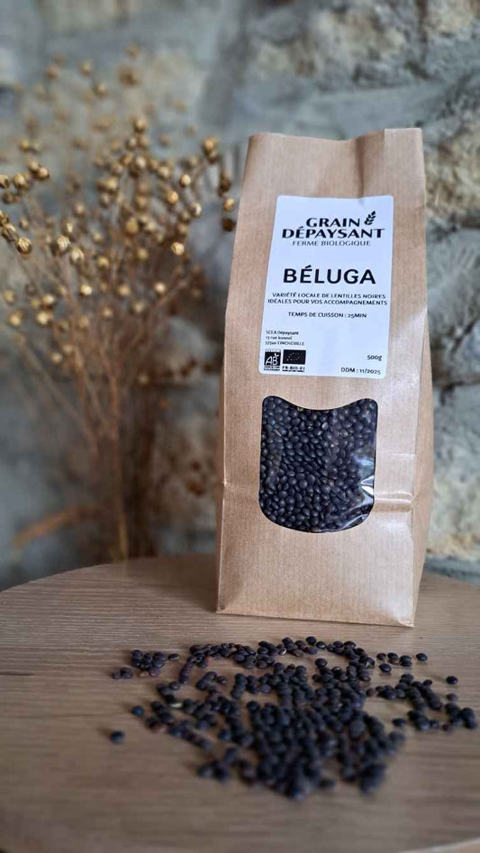 Lentilles Béluga 500 Gr