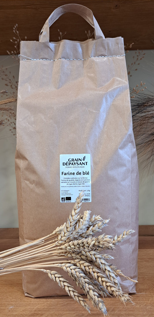 Farine de Blé Bio 5kg